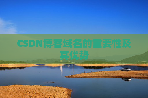 CSDN博客域名的重要性及其优势